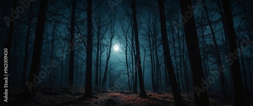 a dark forest with a full moon in the background.