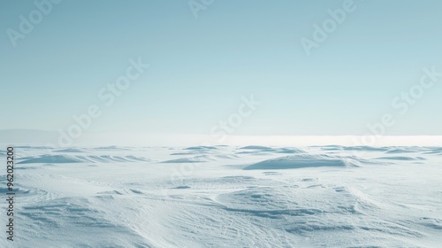 A vast tundra landscape covered in a blanket of snow, with a pale blue sky stretching overhead