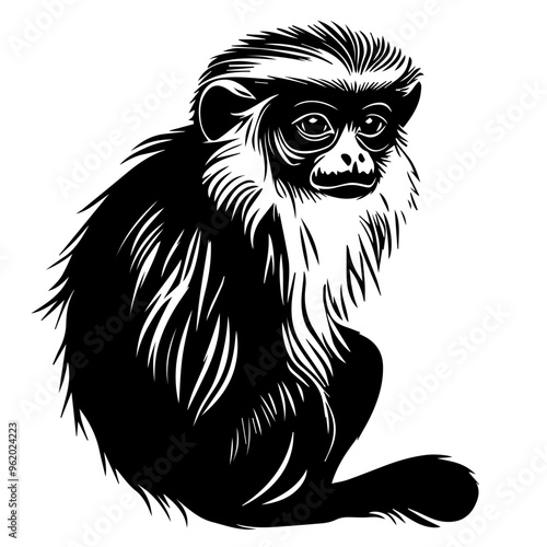 Monkey Vector