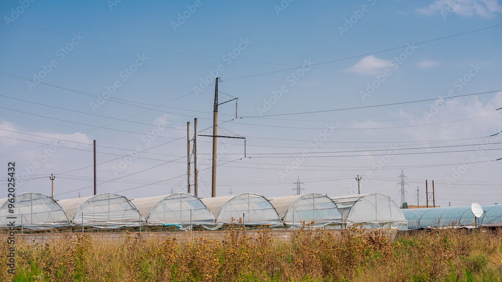 Fototapeta premium power lines in the field