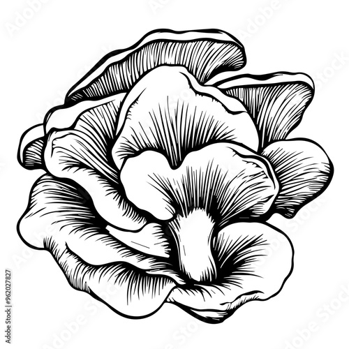 Mushroom Vector