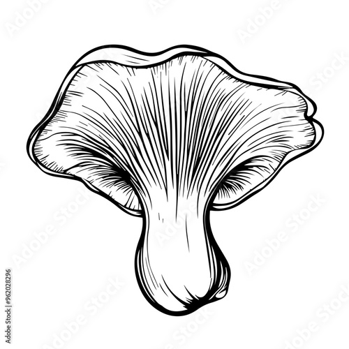 Mushroom Vector