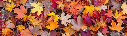 Colorful seasonal autumn background pattern, Vibrant carpet of fallen forest leaves