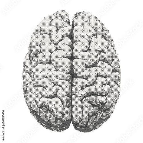 Human brain. Collage cutout element for scrapbook, poster, t-shirt. Vector monochrome sticker in a surreal bitmap style with dotted photocopy texture.
