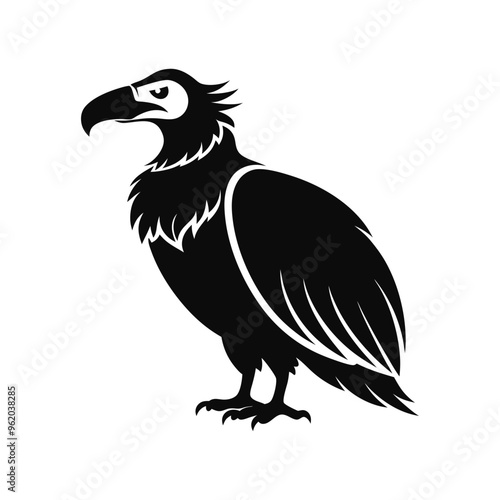 Download Condor And Silhouette Vector Illustration White Background Svg File For Design.