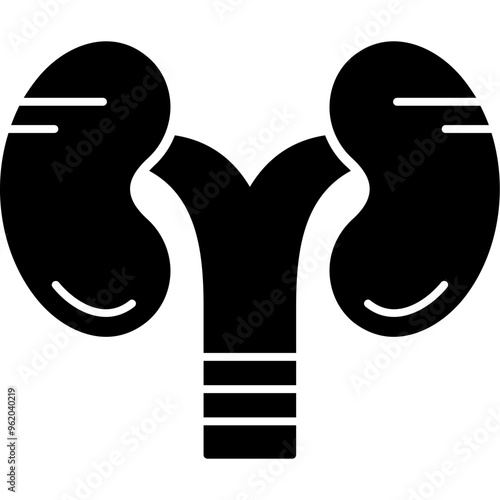 Kidneys Icon