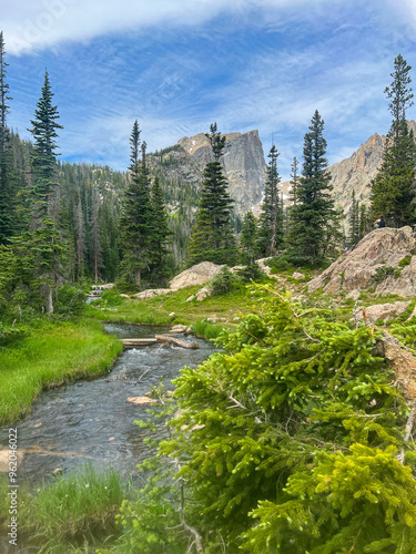 Mountain meadow lake view