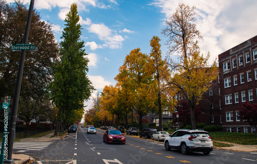 street in the city in fall