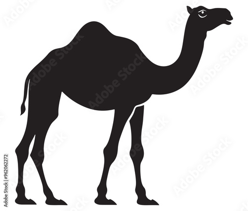 Camel in desert silhouette vector 