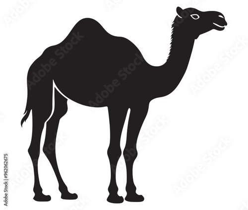 Camel in desert silhouette vector 