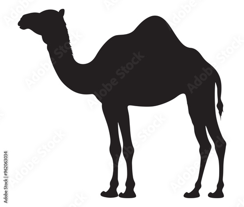 Camel in desert silhouette vector 