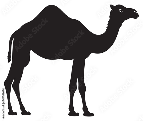 Camel in desert silhouette vector 