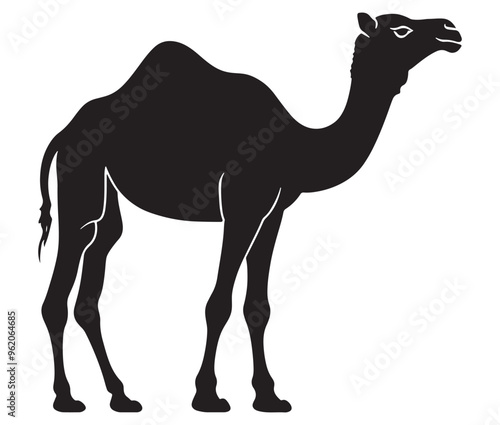 Camel in desert silhouette vector 