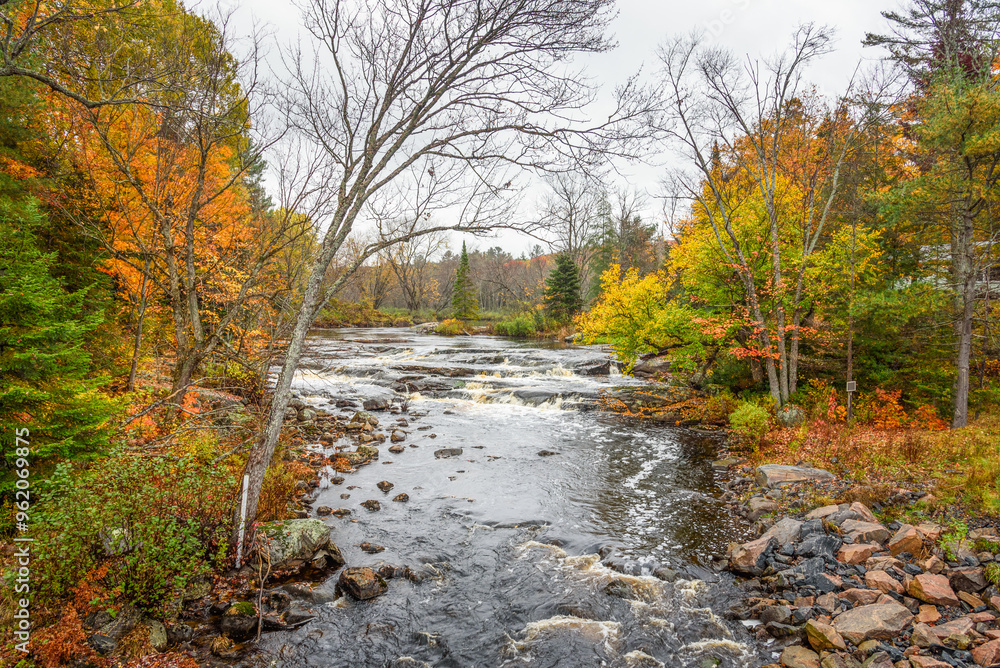 Waterfall and rapids on a river with forested banks at the peak of autumn colours Waterfall and rapids on a river with forested banks at the peak of autumn colours