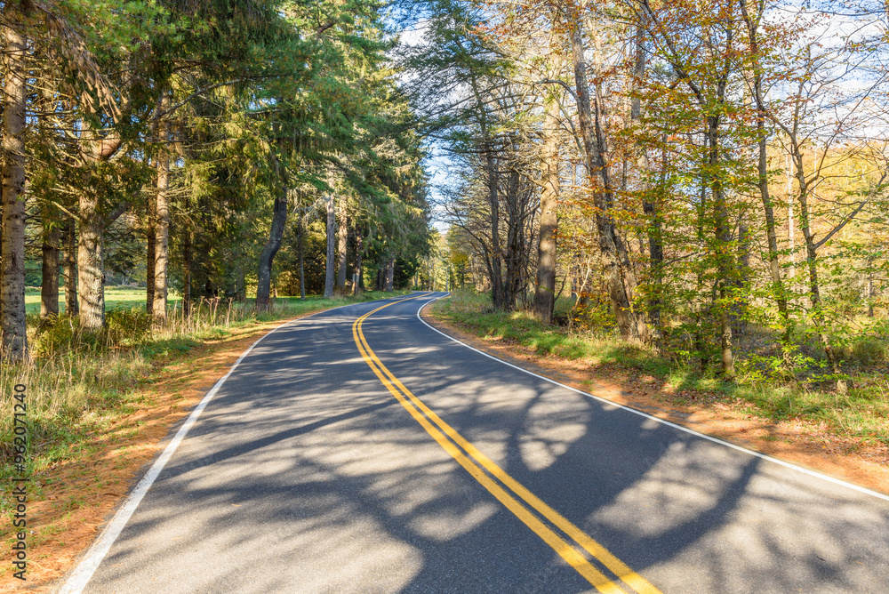 Fototapeta premium Empty winding country road running through a forested landscape on a sunny autmn day