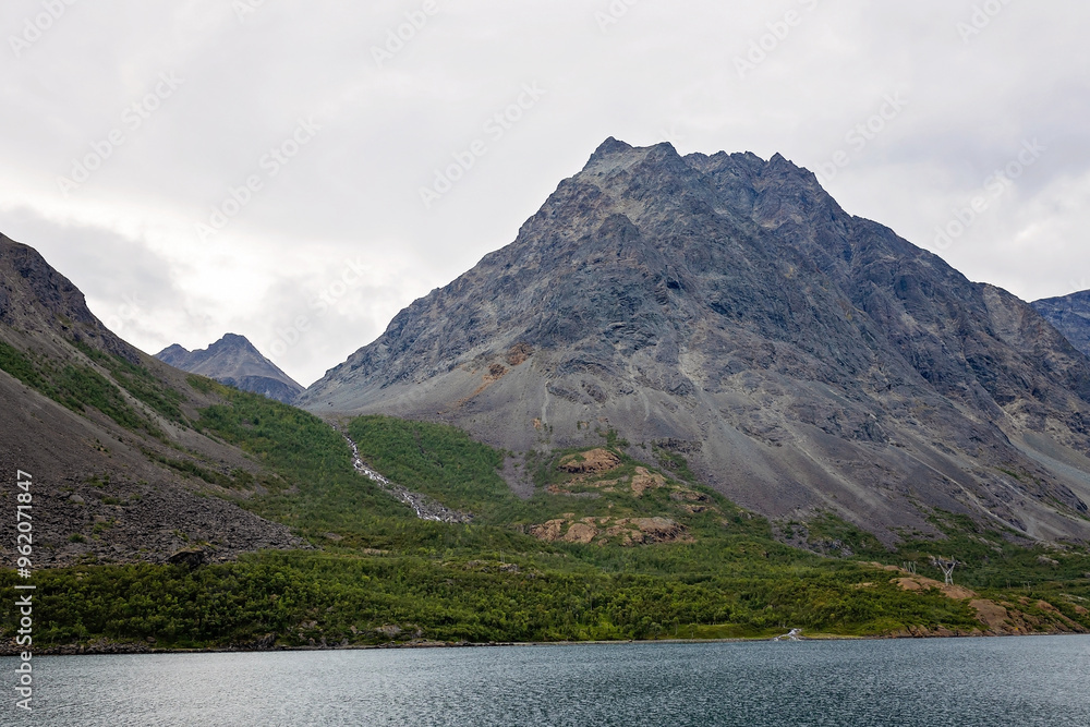 Road with trees, cars and cloudy sky in Norway, summertime