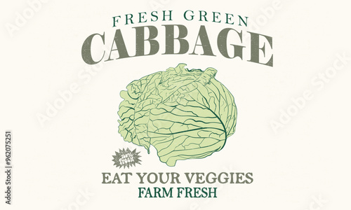 Green cabbage vintage t-shirt design. Organic vegetable farm. Organic vegetable artwork for t shirt print, poster, sticker and other uses.