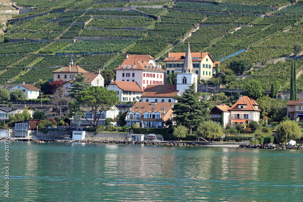 Obraz premium Hamlet with Vineyard on shore of lake Geneva