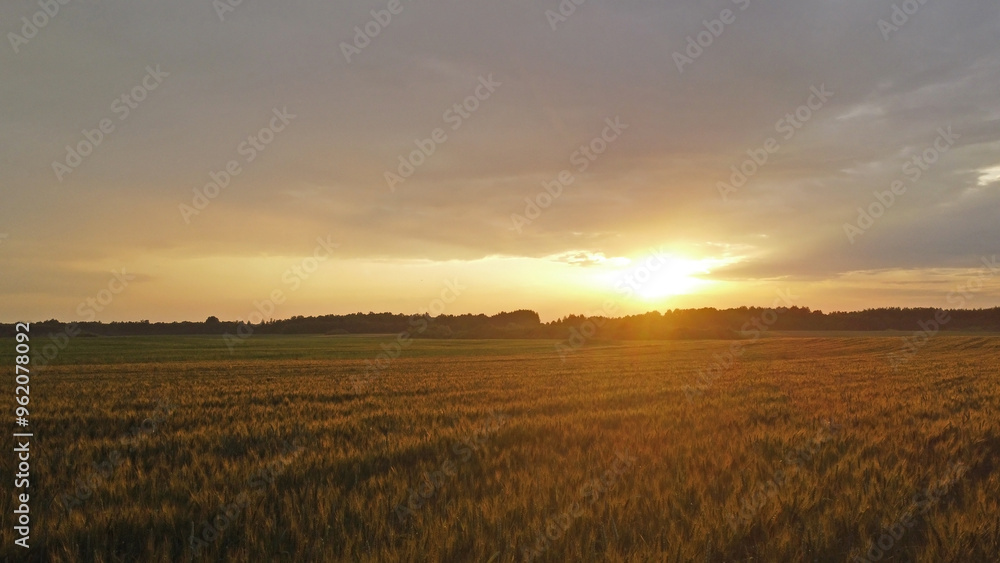 Sunset over the fields. Landscape in eastern Lithuania from the drone.. Sunset over the fields. Landscape in eastern Lithuania from the drone..