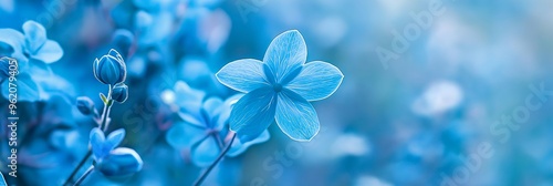 A single vibrant blue flower stands out against a soft light background, highlighting its simplicity and natural beauty.