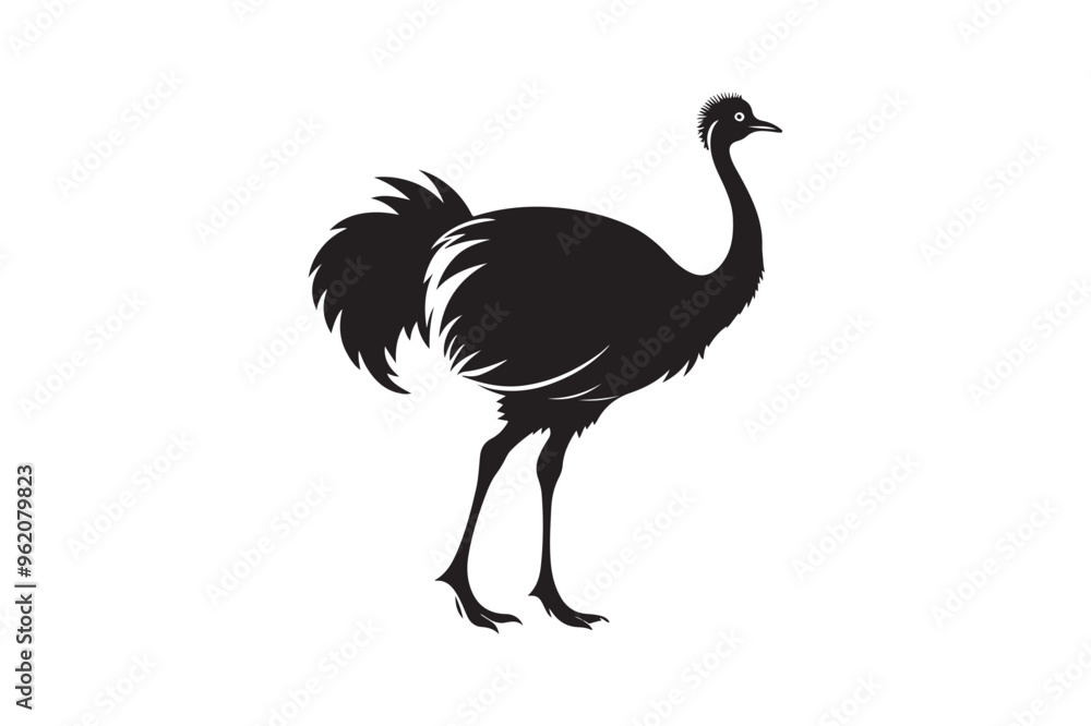 Ostrich silhouette vector illustration, Ostrich silhouette vector Ostrich silhouette vector illustration, Ostrich silhouette vector