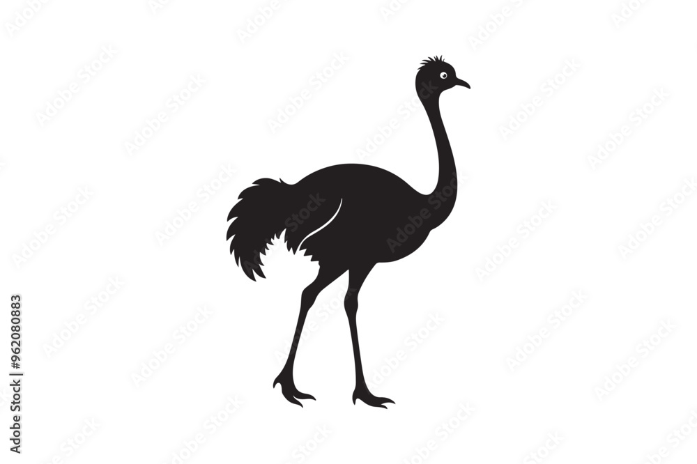 Ostrich silhouette vector illustration, Ostrich silhouette vector Ostrich silhouette vector illustration, Ostrich silhouette vector