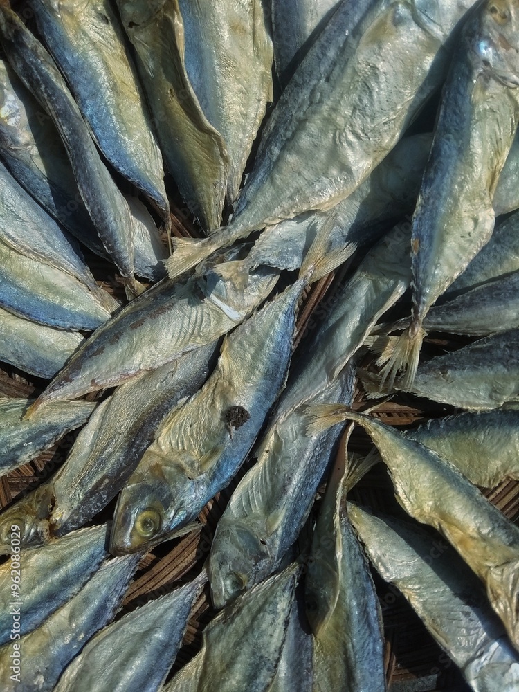 fish on market fish on market