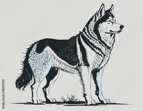 Head of Malamute Dog Vector Design and Isolated Alaskan Malamute sitting sketches hand drawn animal illustration.