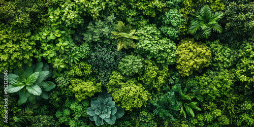 Dense greenery with diverse plant leaves creating a lush & textured natural landscape