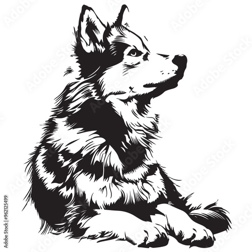 Black and white Malamute Vector Images.  Alaskan Malamute Dog  isolated on transparent background