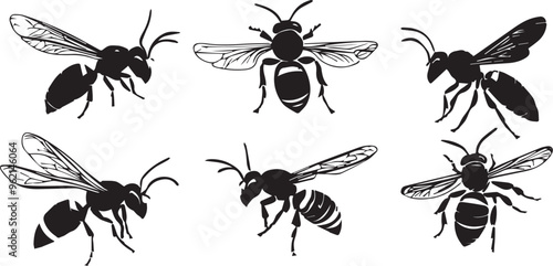 Set insect. Hand drawn vector illustration