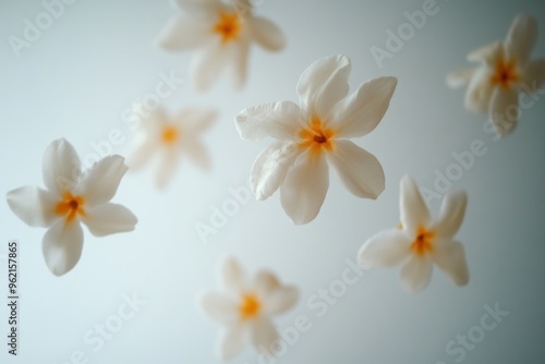 Serene white jasmine flowers floating in gentle light