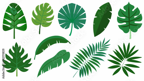 Cartoon Jungle Leaves Vector Set: Palm, Banana, Monstera Foliage