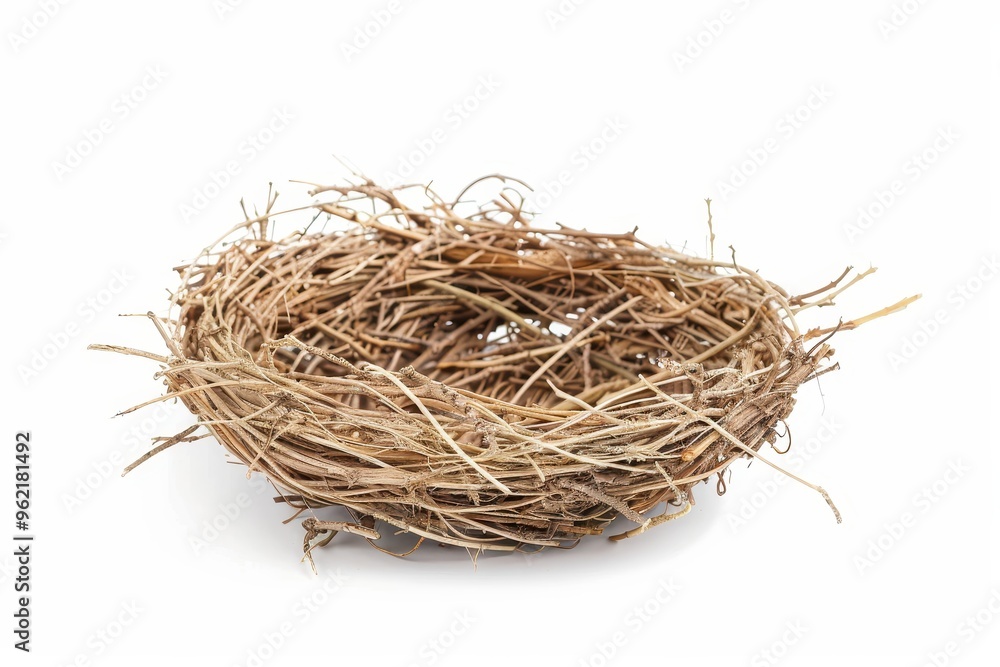 Bird s nest isolated on white background Bird s nest isolated on white background