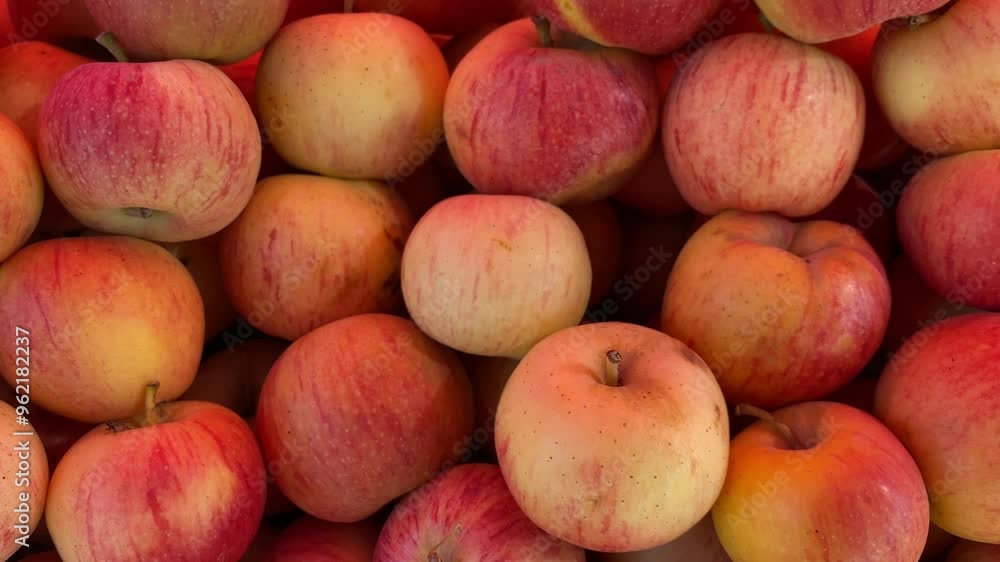 One of The Most Charming View of Newly Arrived Fresh Apples in a Fruit Shop One of The Most Charming View of Newly Arrived Fresh Apples in a Fruit Shop