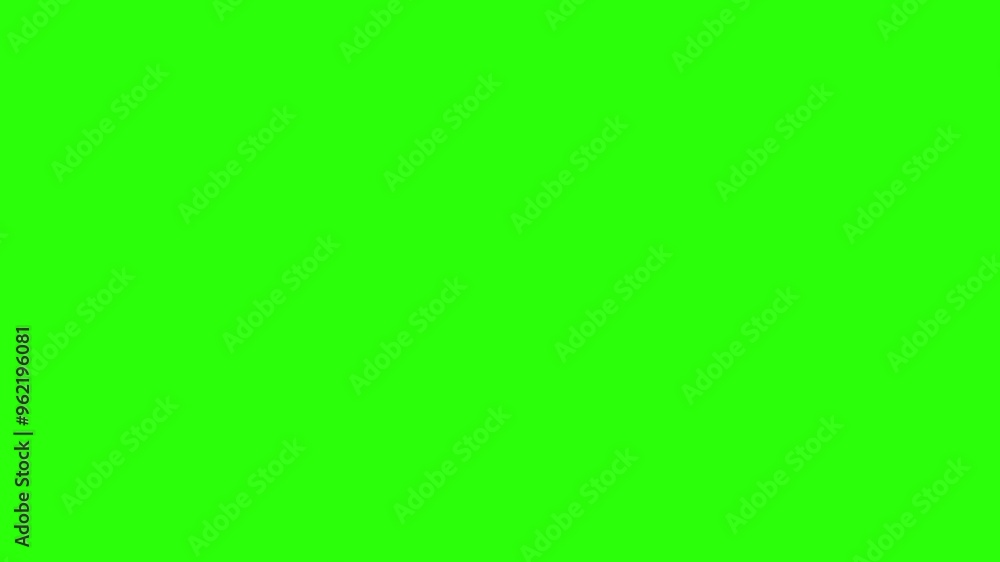 Autumn leaves design elements animation on the green screen Autumn leaves design elements animation on the green screen