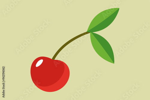 cherry on a branch