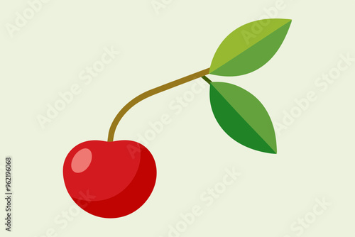 cherry on a branch