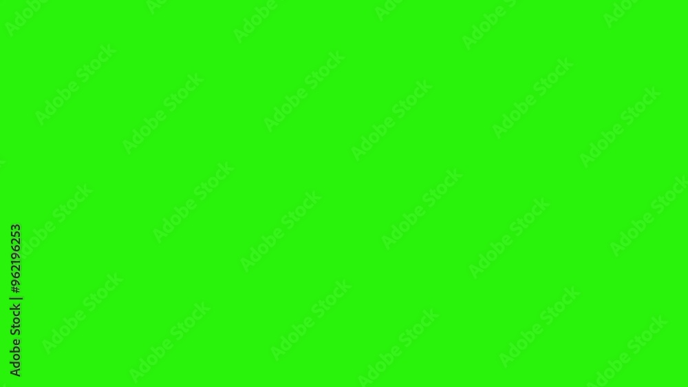 Autumn leaves design elements animation on the green screen Autumn leaves design elements animation on the green screen