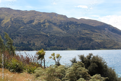 Windy day at Lake Hawea, New Zealand