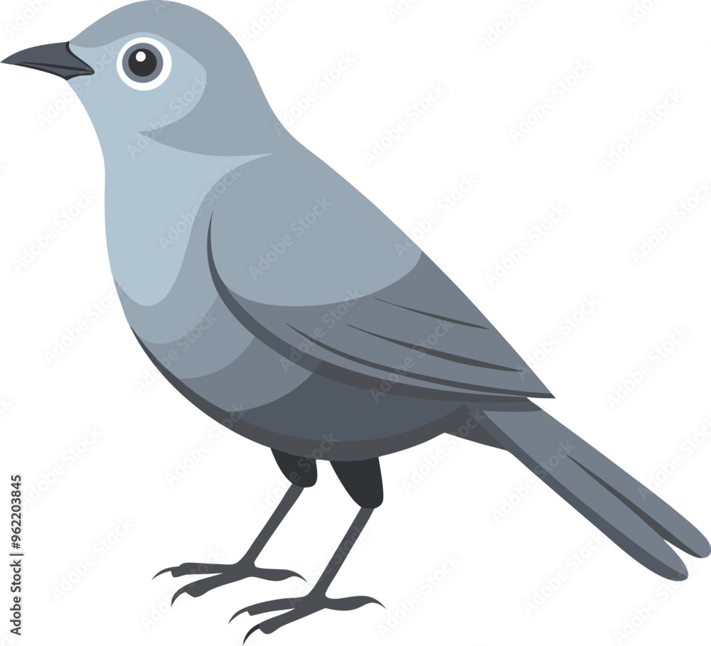 Fototapeta premium gray cat bird artwork victor illustration