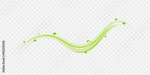 Green air swirl effect with flying mint leaves isolated on white background PNG, vector realistic illustration for advertising design.