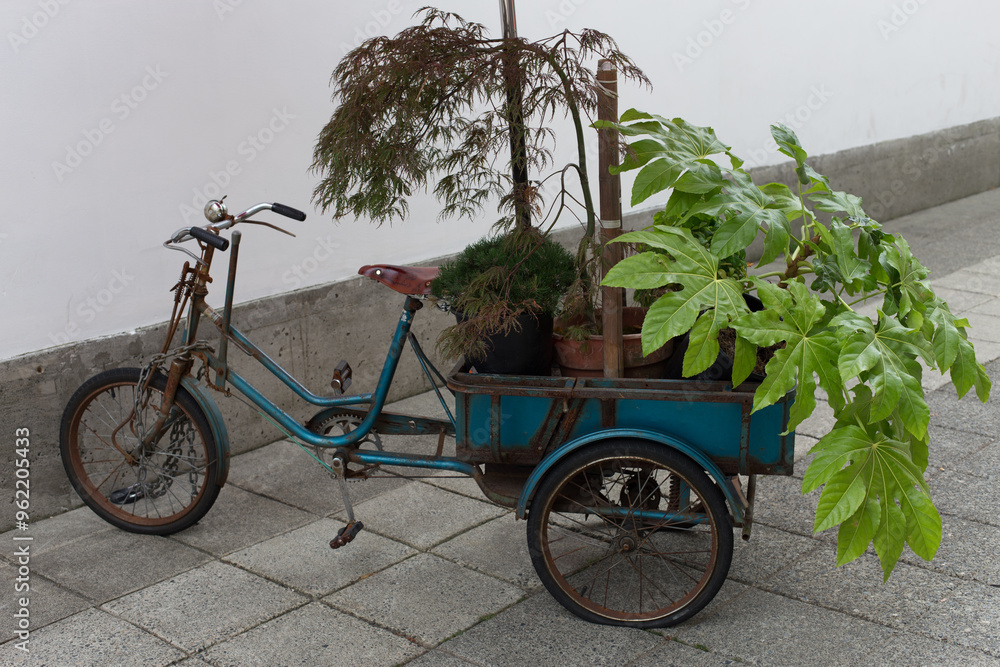 Fototapeta premium Vintage Tricycle Cart with Potted Plants