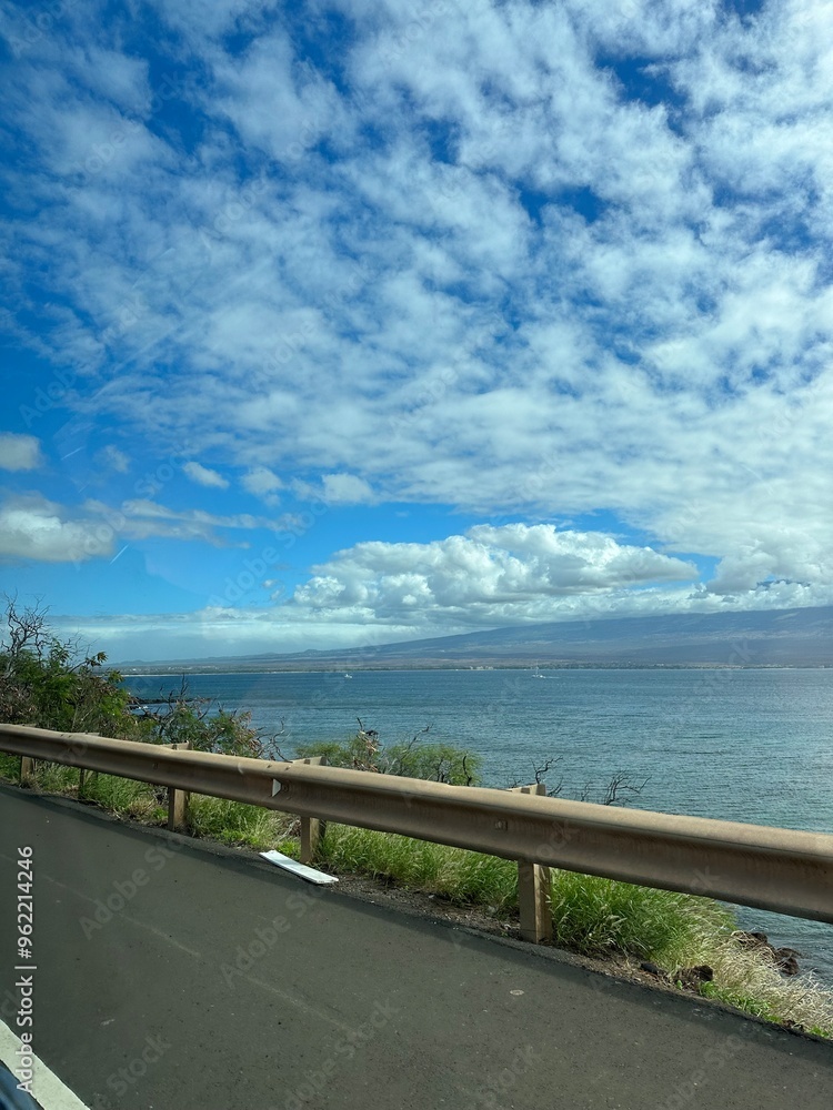 Road in Hawaii Road in Hawaii