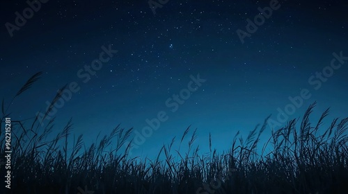  A field of tall grass stretches into the distance, while the night sky above is dotted with an array of stars The grass sways gently in the foreground