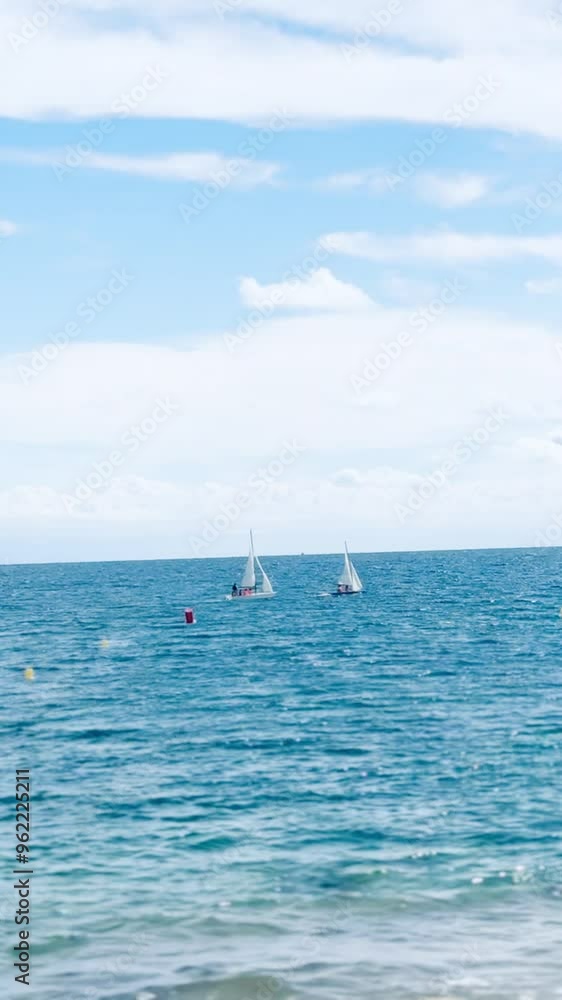 Small sailboats sail along the coast. Small sailboats sail along the coast.