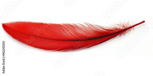 A bold scarlet feather with vibrant color and smooth texture, standing out sharply against the clean white background. photo