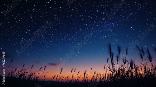   Night sky full of stars, tall grass in foreground, and tall grass in background