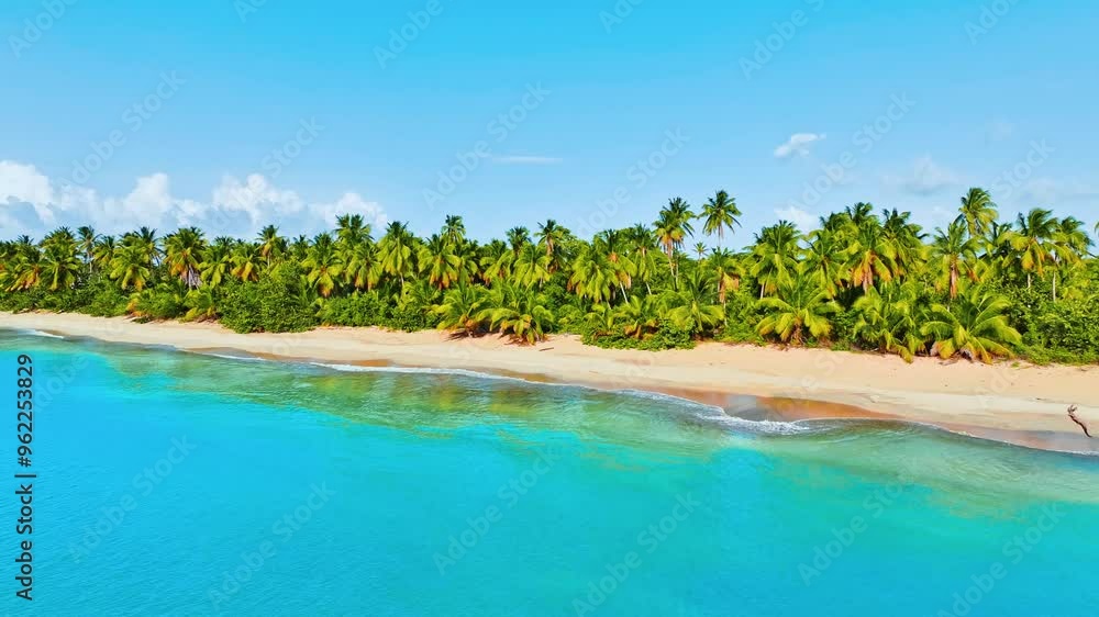 Sea view of coconut palms of wild untouched beach. Turquoise sea waves on warm yellow sand of sunny coast. Tropical island in Atlantic ocean. Summer travel concept background. Copy space. Nobody. Sea view of coconut palms of wild untouched beach. Turquoise sea waves on warm yellow sand of sunny coast. Tropical island in Atlantic ocean. Summer travel concept background. Copy space. Nobody.