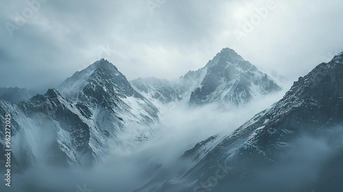  A flock of mountains shrouded in snow and wreathed in mist on a hazy day, with a fowl perched prominently in the foreground